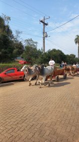 Celebraes na regio mantm tradio do Dia do Colono e do Motorista