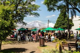 Festival do Bolinho  de Batata supera expectativas e vende  mais de 41 mil unidades