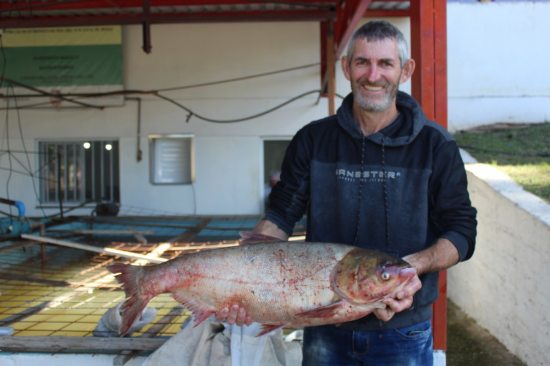 Feira do Peixe Vivo Especial de Pscoa ocorre nos dias 05 e 06 de abril