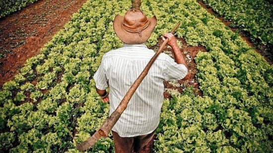 Palestra da agricultura na 13 Kappesbergfest ser no sbado