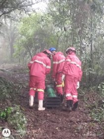 A potncia da solidariedade