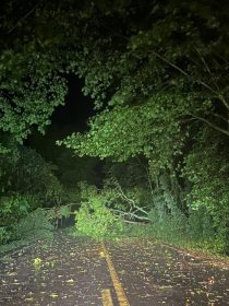 Queda de rvores, postes, destelhamentos - temporal assusta e Salvador do Sul tem noite de pavor